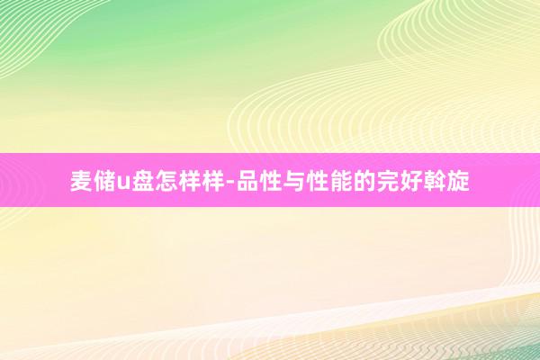 麦储u盘怎样样-品性与性能的完好斡旋