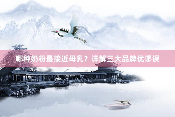 哪种奶粉最接近母乳？详解三大品牌优谬误