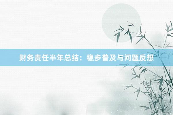 财务责任半年总结：稳步普及与问题反想