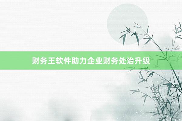 财务王软件助力企业财务处治升级