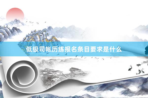 低级司帐历练报名条目要求是什么
