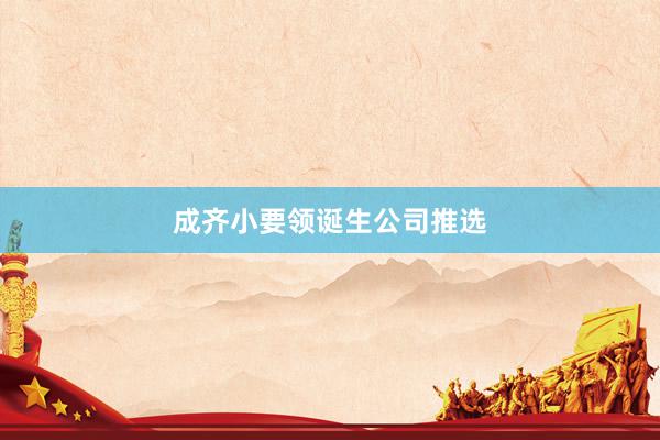 成齐小要领诞生公司推选